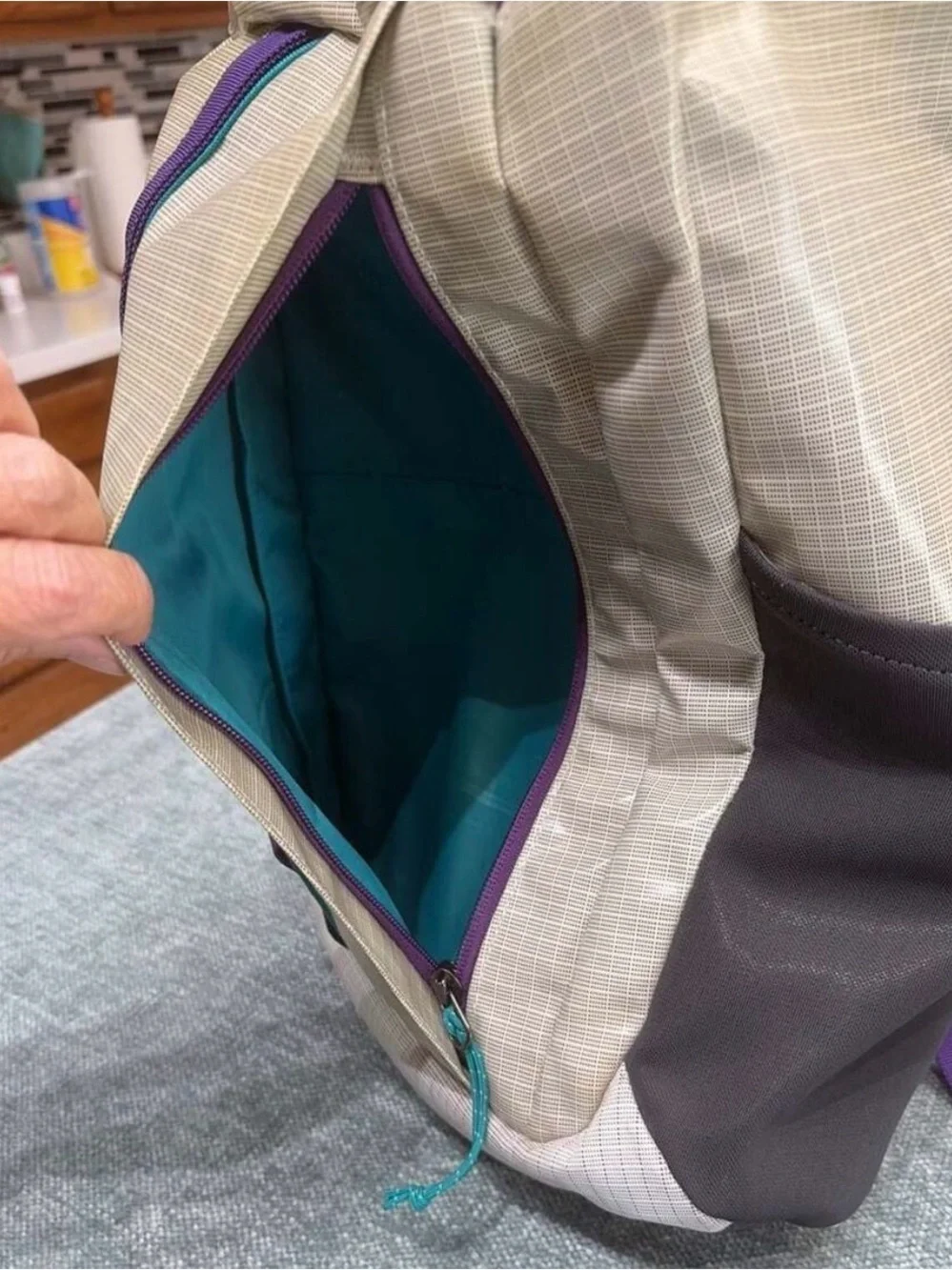 Retired Patagonia White Backpack with Purple & Teal Accents